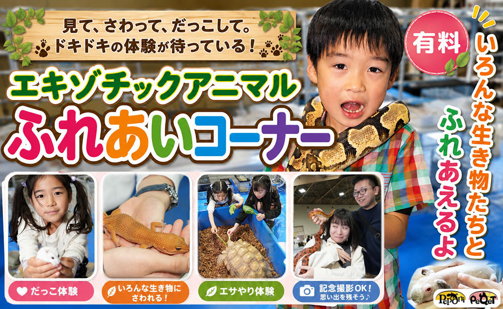 ふれあいコーナー