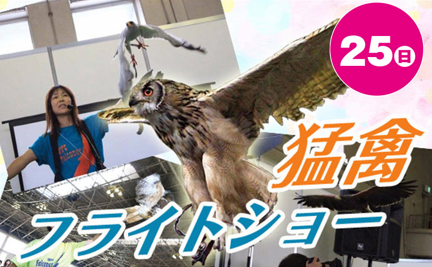 大迫力！猛禽フライトショー
