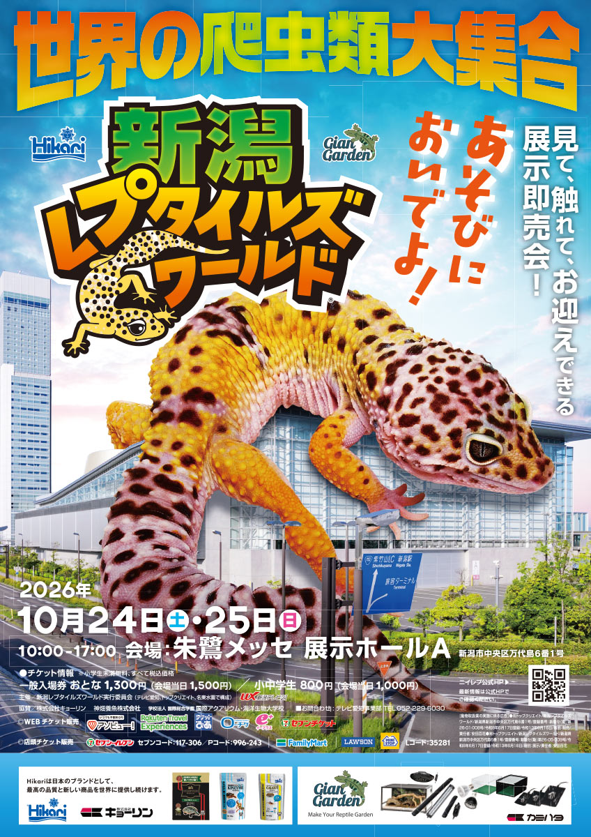 チラシ表