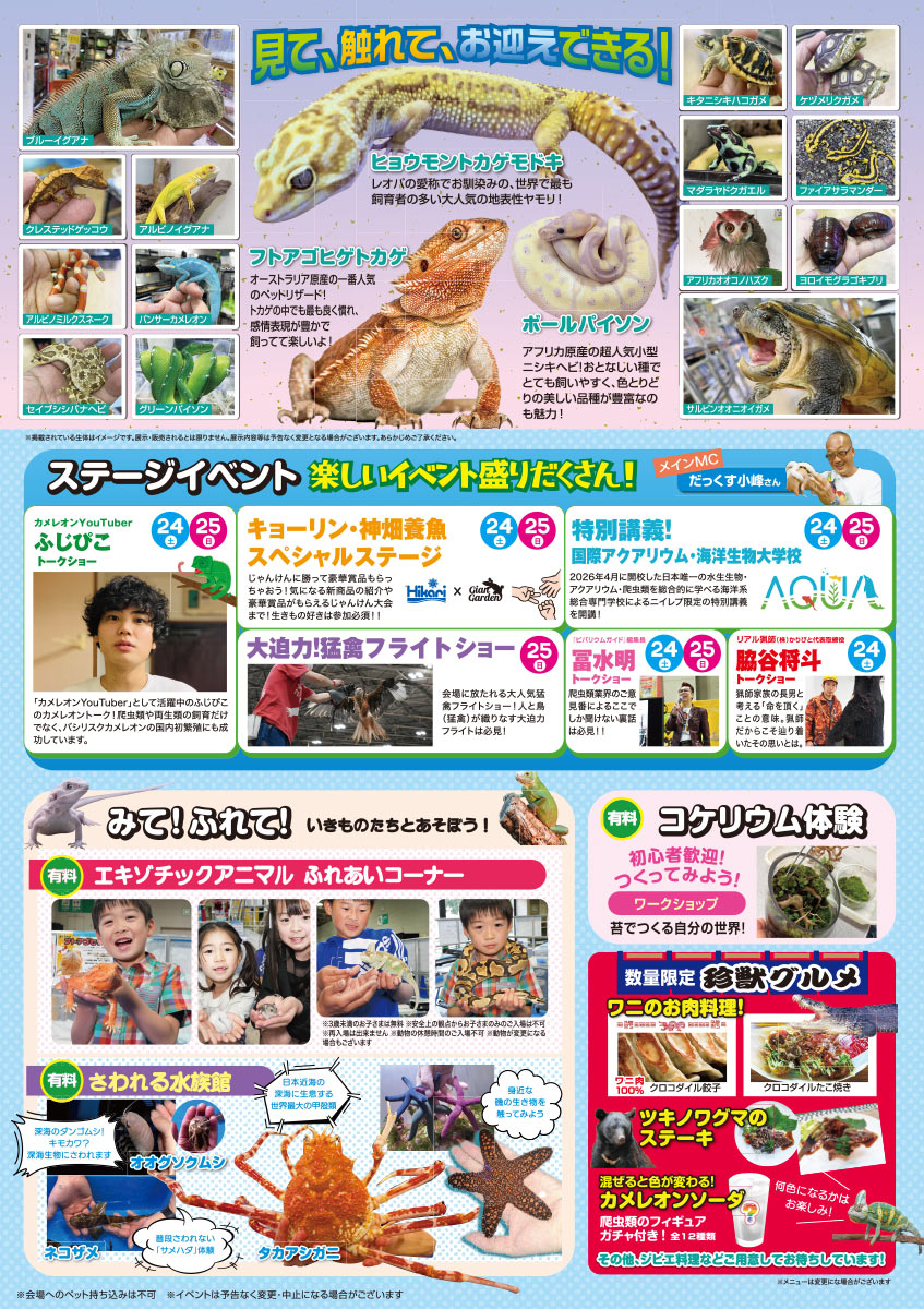 チラシ裏